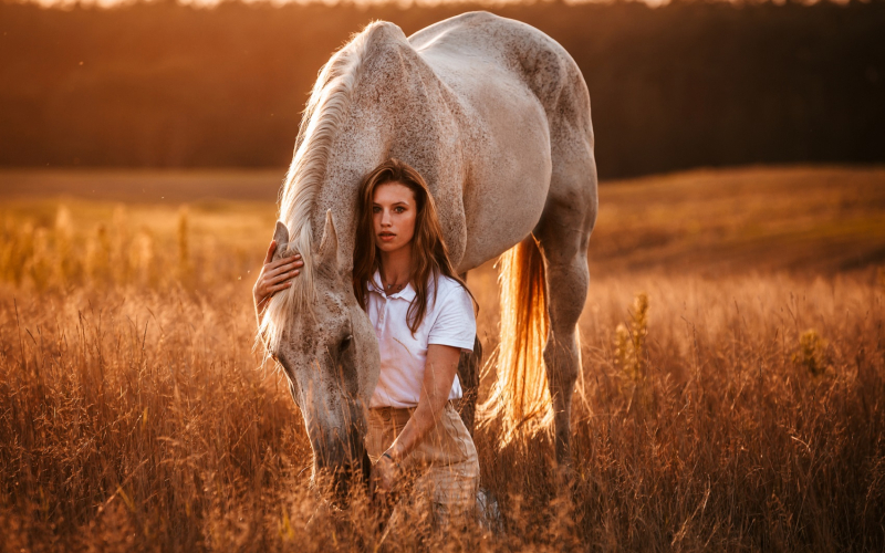 Sesja z koniem o zachodzie słońca