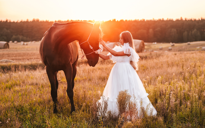 Sesja komunijna z koniem o zachodzie słońca