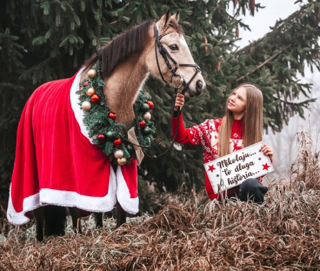 Dziewczyna w świątecznym swetrze trzyma konia w czerwonym czapraku i wieńcu bożonarodzeniowym
