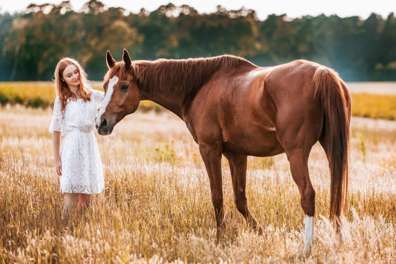 Kobieta w białej koronkowej sukience karmi kasztanowego konia na łące