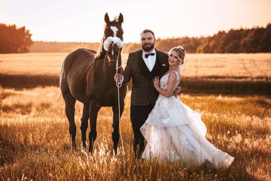 Para młoda z koniem pozuje na złocistej łące o zachodzie słońca