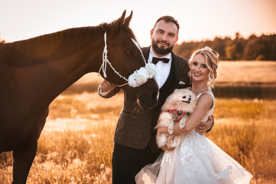 Para młoda z psem i koniem pozuje na złocistej łące w promieniach zachodzącego słońca