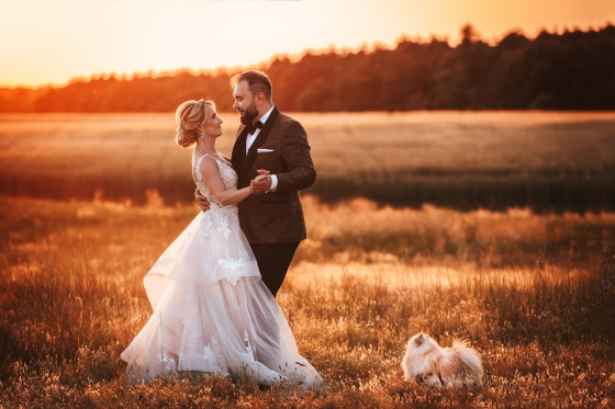 Para młoda tańczy na polu o zachodzie słońca, obok nich siedzi mały pies