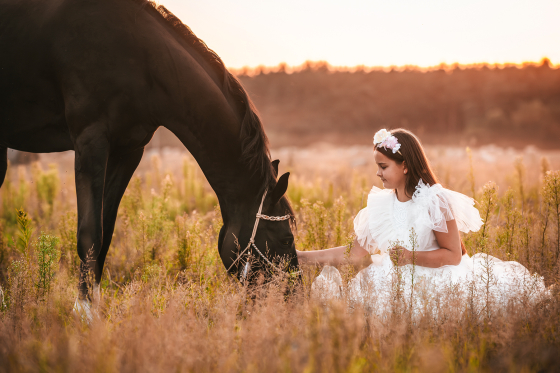 Sesja komunijna z koniem Pobiedziska o zachodzie słońca