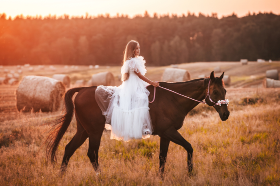 Sesja komunijna z koniem Poznań o zachodzie słońca