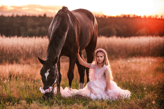 Sesja komunijna z koniem Poznań o zachodzie słońca